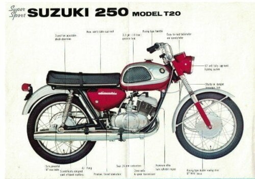 T20