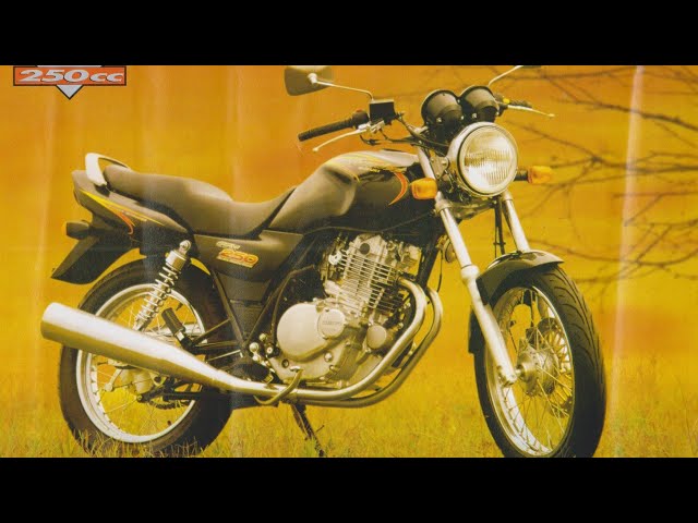 GSX250 aftermarket
